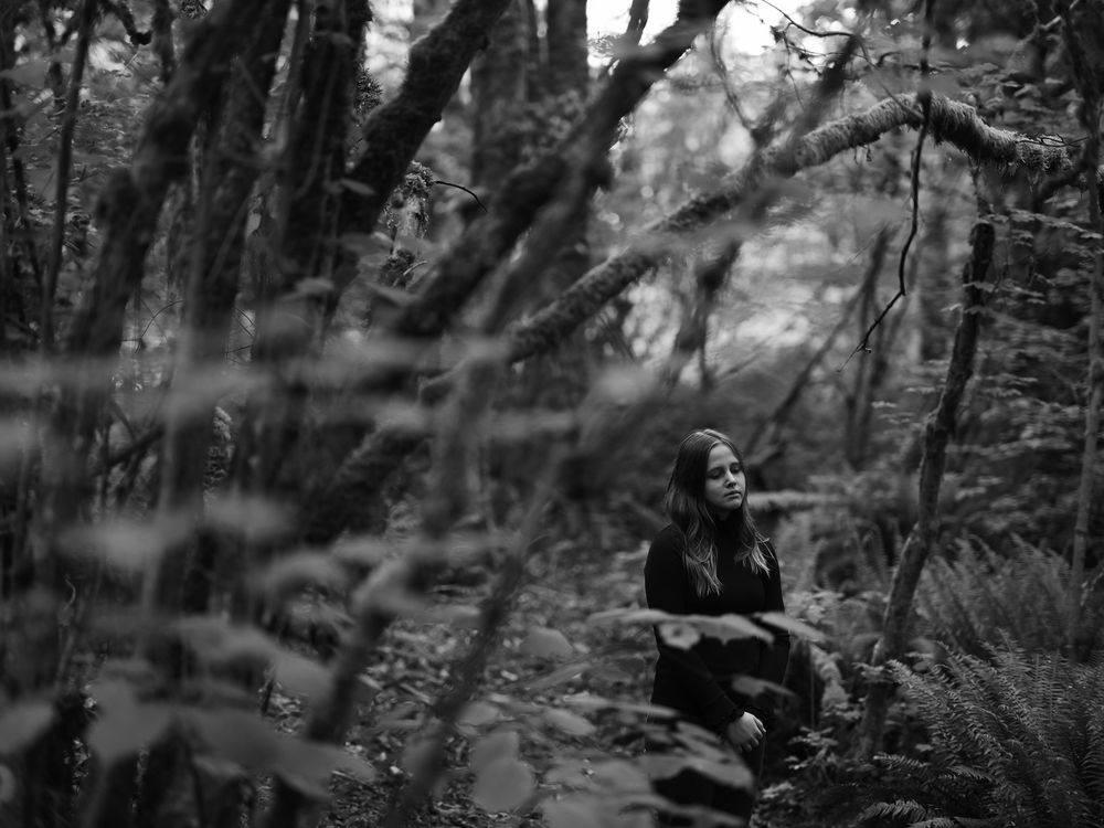 A dreamy forest scene with a figure seated among wild ferns and trees.