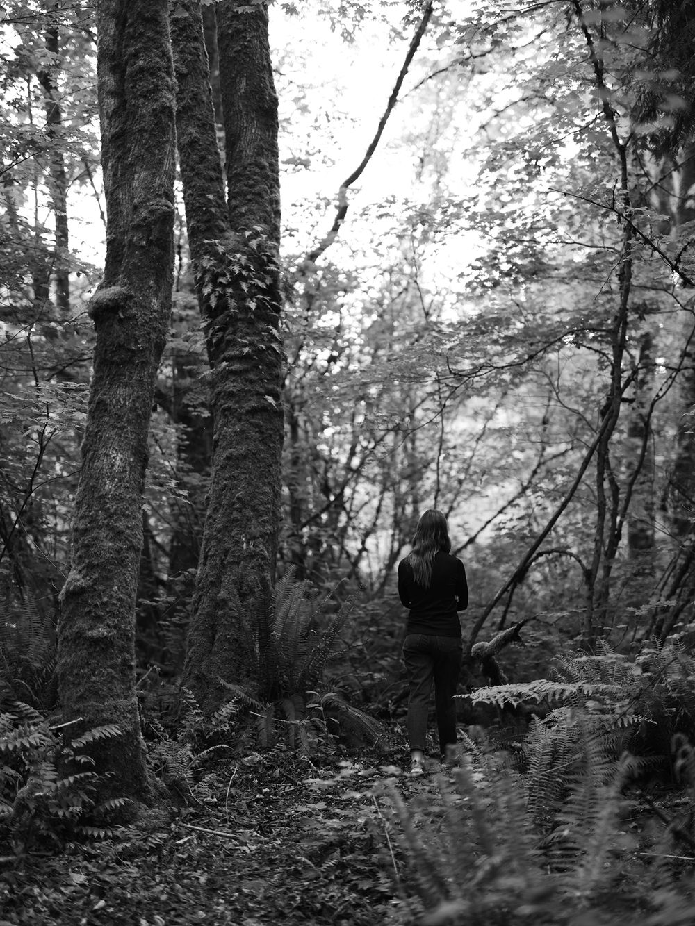 A person in black clothing stands between ancient trees and ferns in a mystical forest setting.