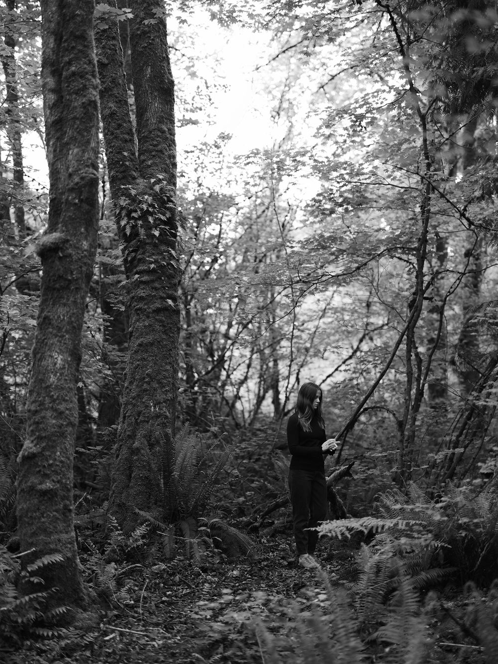 A lone figure stands between tall moss-covered trees in a misty forest.