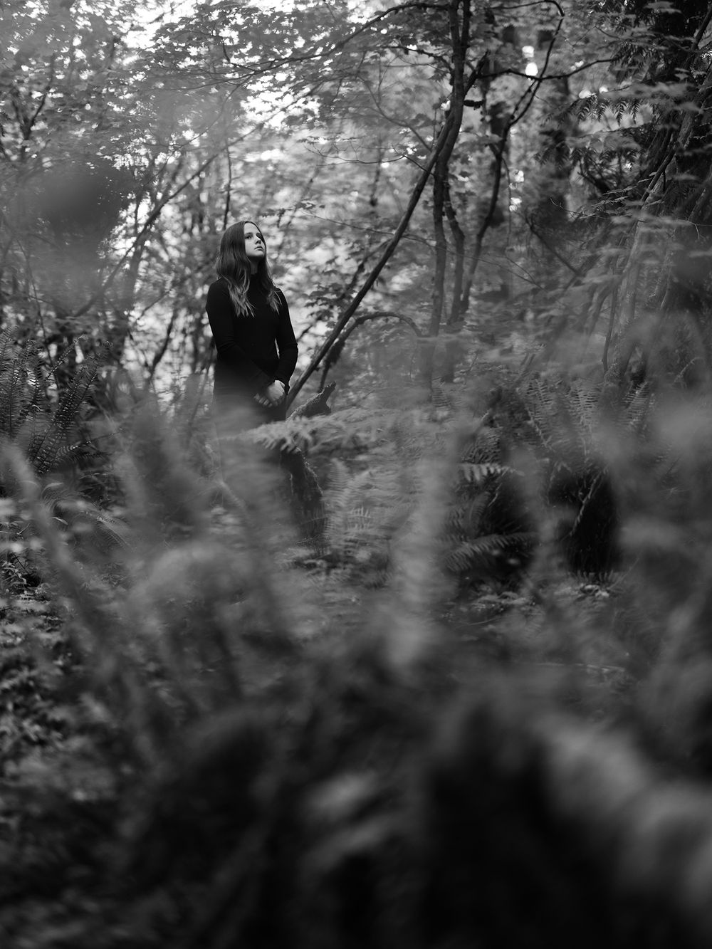 Silhouette of a person in black clothing surrounded by ferns and forest foliage.