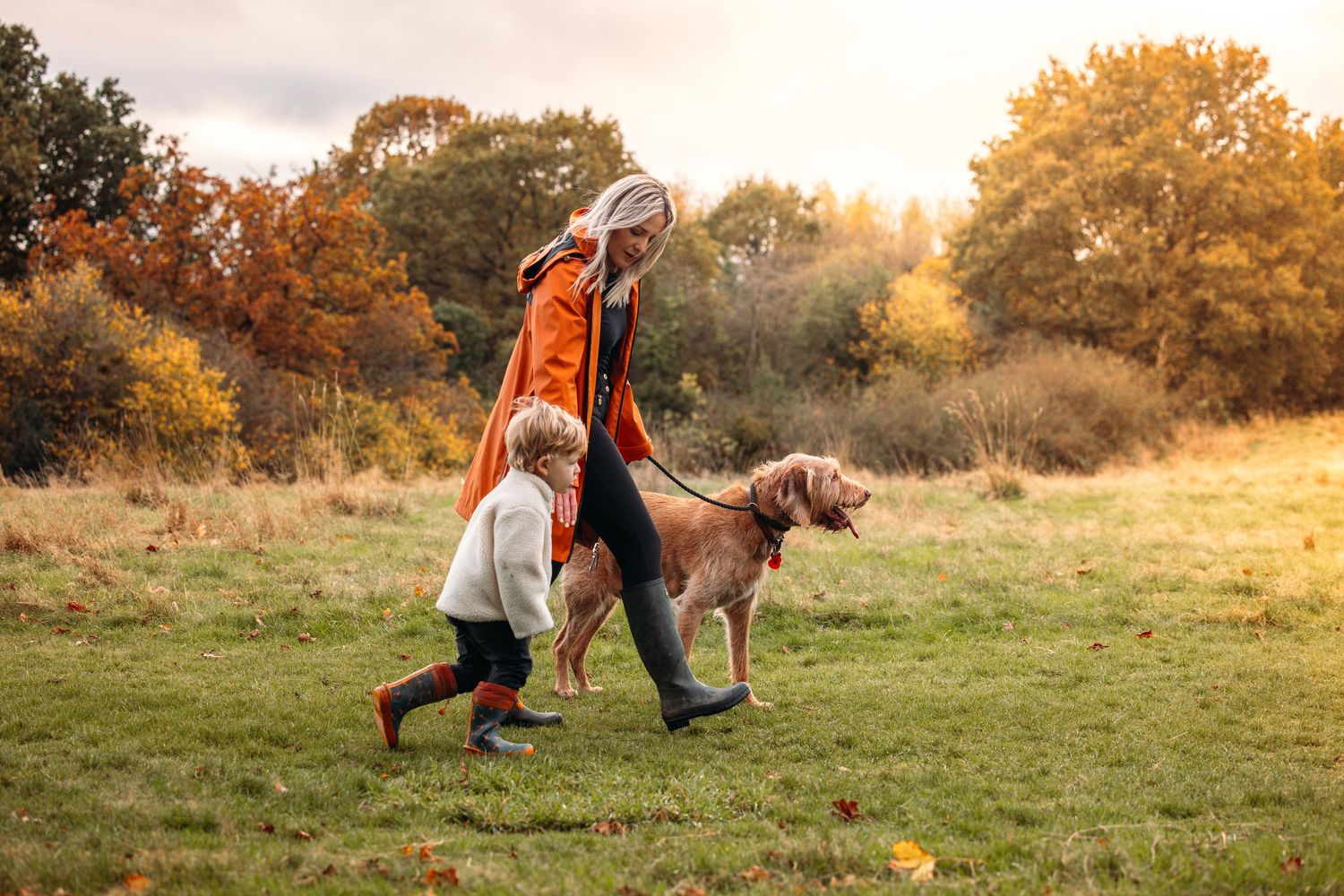 Dog and person walking together on grassy path during golden sunset.