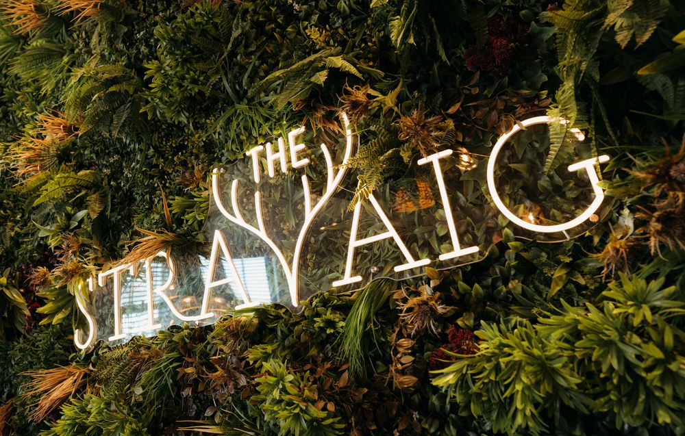 A series of seven illuminated letters spelling out "TRANSIT" glow against a dark background with autumn foliage.