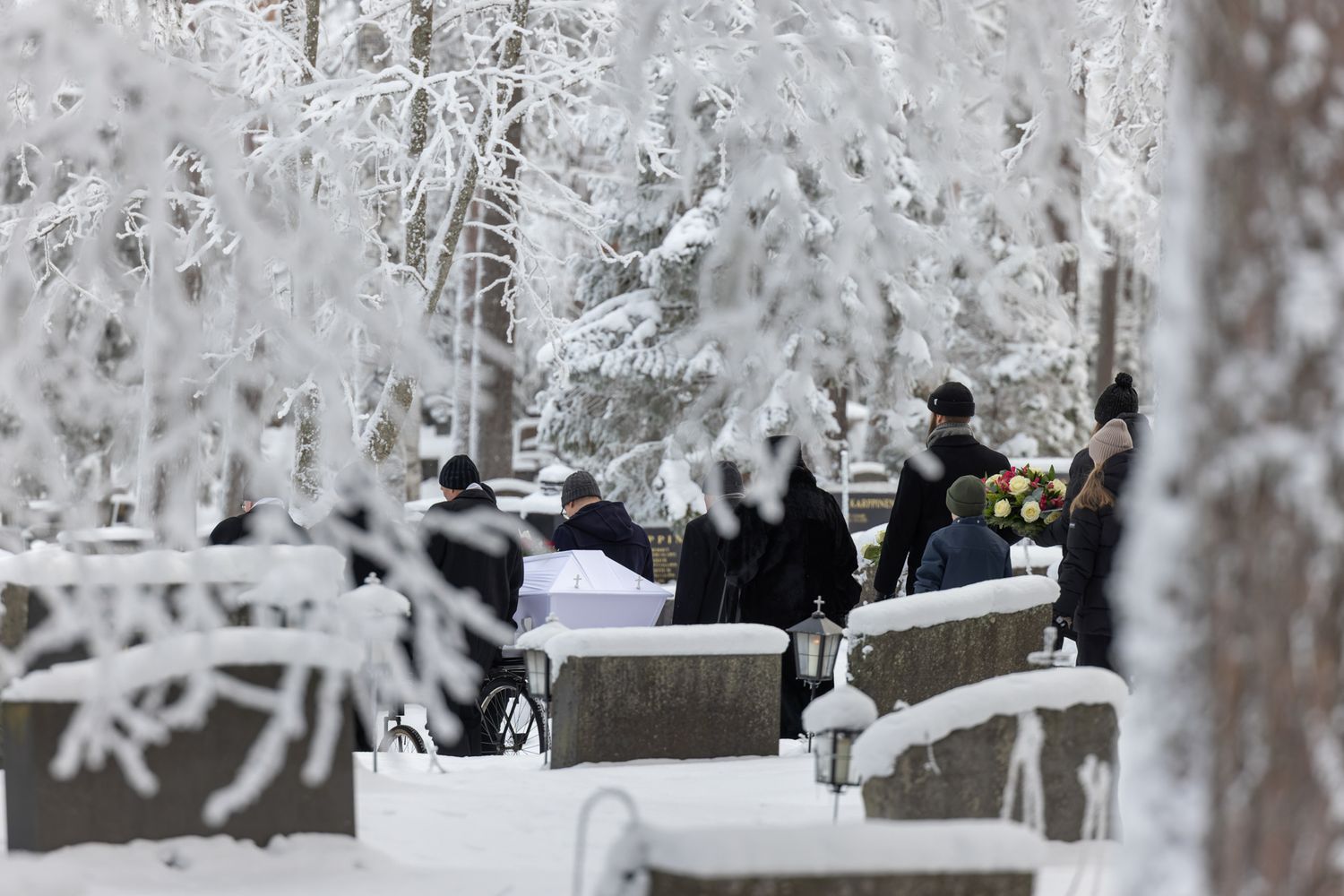 Snow-covered trees create a winter wonderland scene along a pathway in a peaceful forest setting.