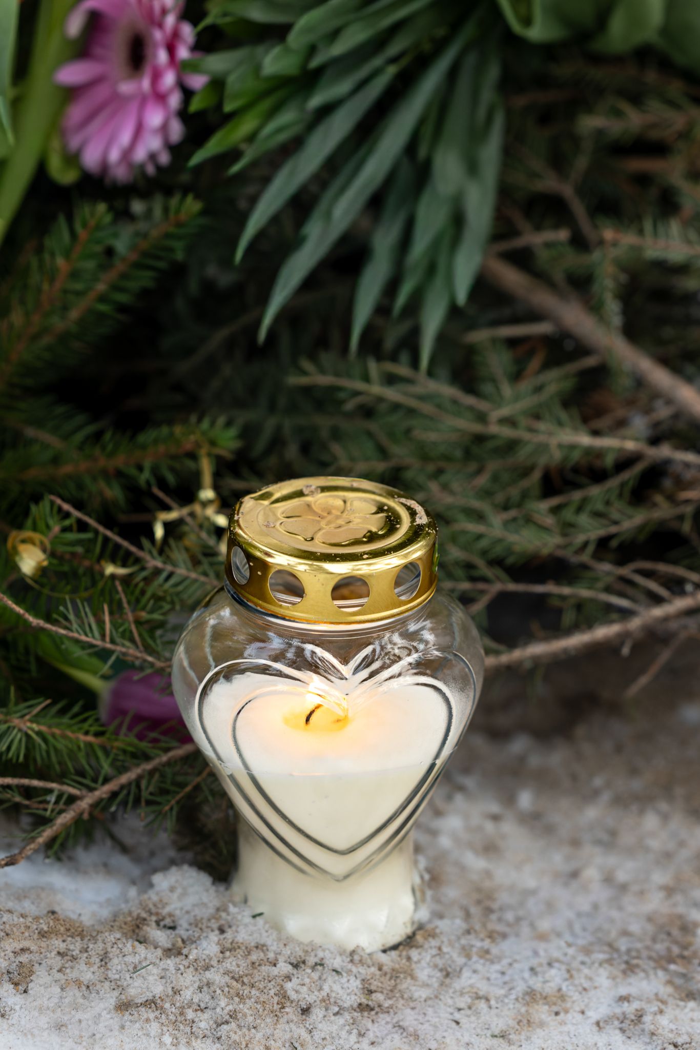 Glass candle holders with heart designs sit nestled in snow beside pink flowers and evergreen branches.