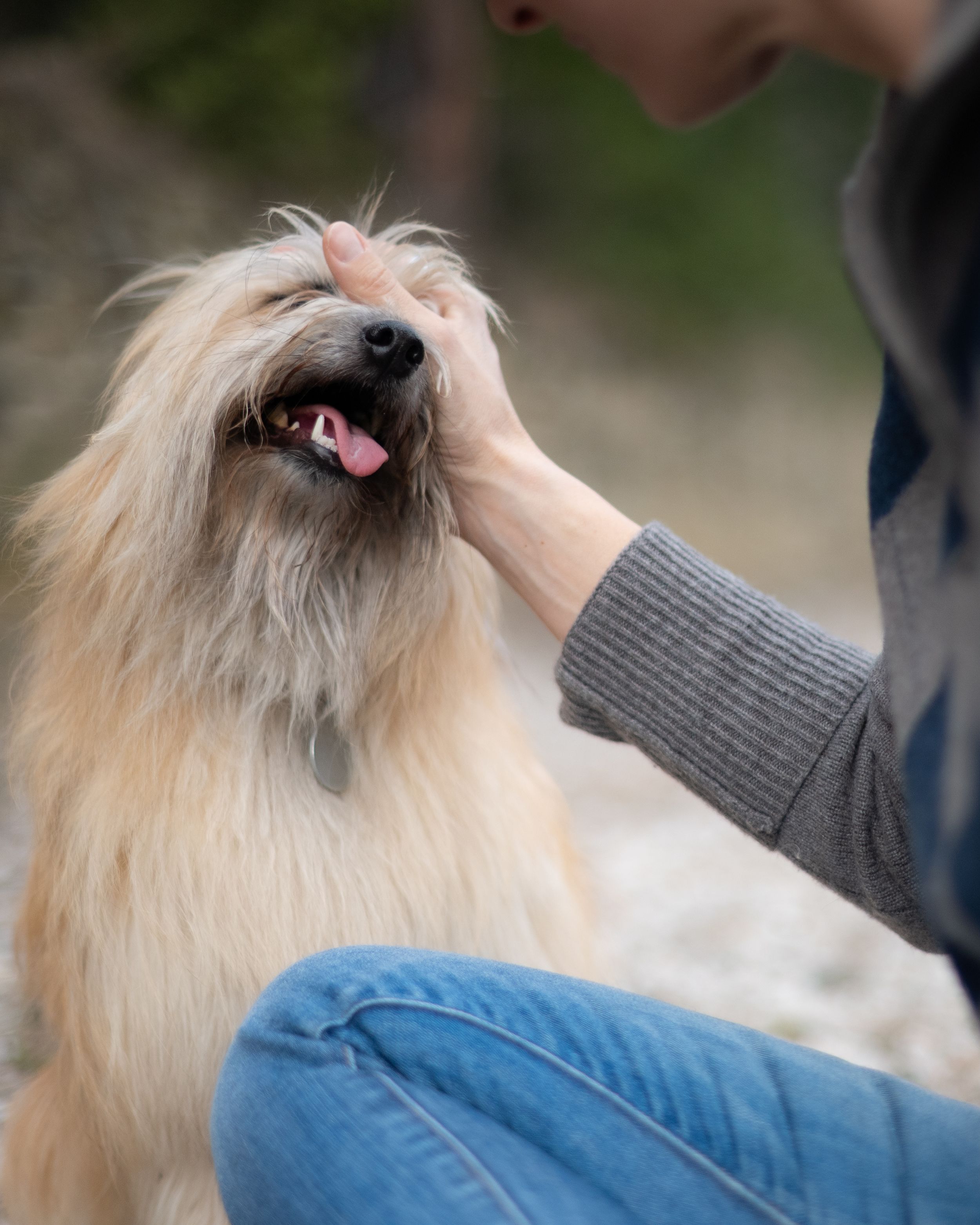 person with their dog during a natural portrait session