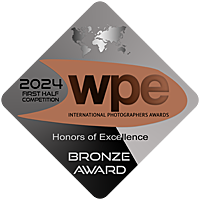 A row of five professional photography award badges and medals in bronze and black colors arranged horizontally.