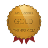 A row of gold award badges and seals with red ribbons displayed horizontally on a white background.