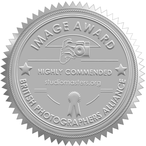 Five silver metallic award medallion seals with embossed designs and text arranged in a horizontal row.