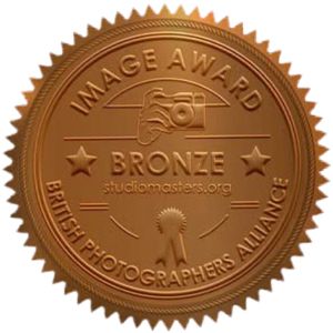 Row of bronze medallion awards and accolades arranged horizontally showing various photography achievement badges.