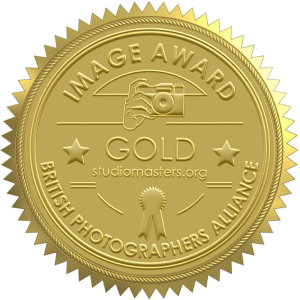 Row of five gold embossed award seal stickers with star and text designs in metallic finish.