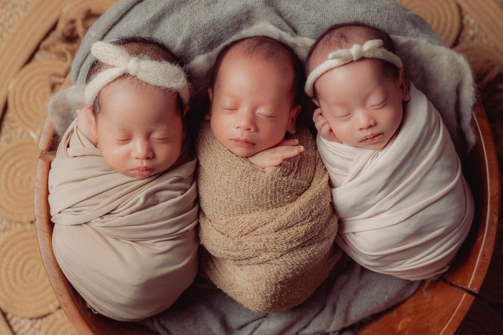 A collection of sleeping newborn babies swaddled in neutral-colored wraps arranged in a row.