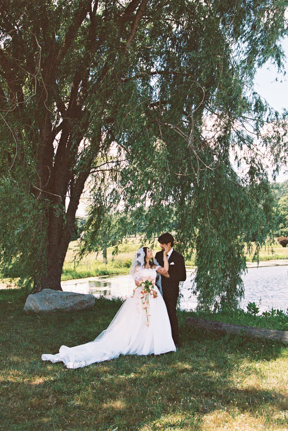 Bride and groom share a romantic moment under a weeping willow tree by a lake on their wedding day.