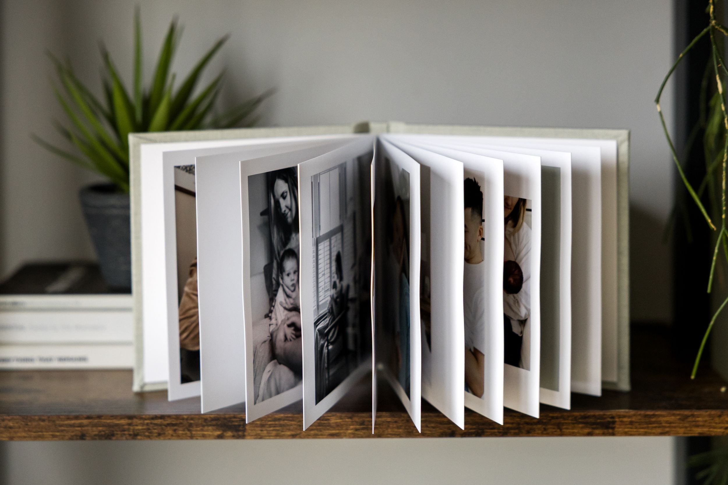 photo albums by Alina Clark photography