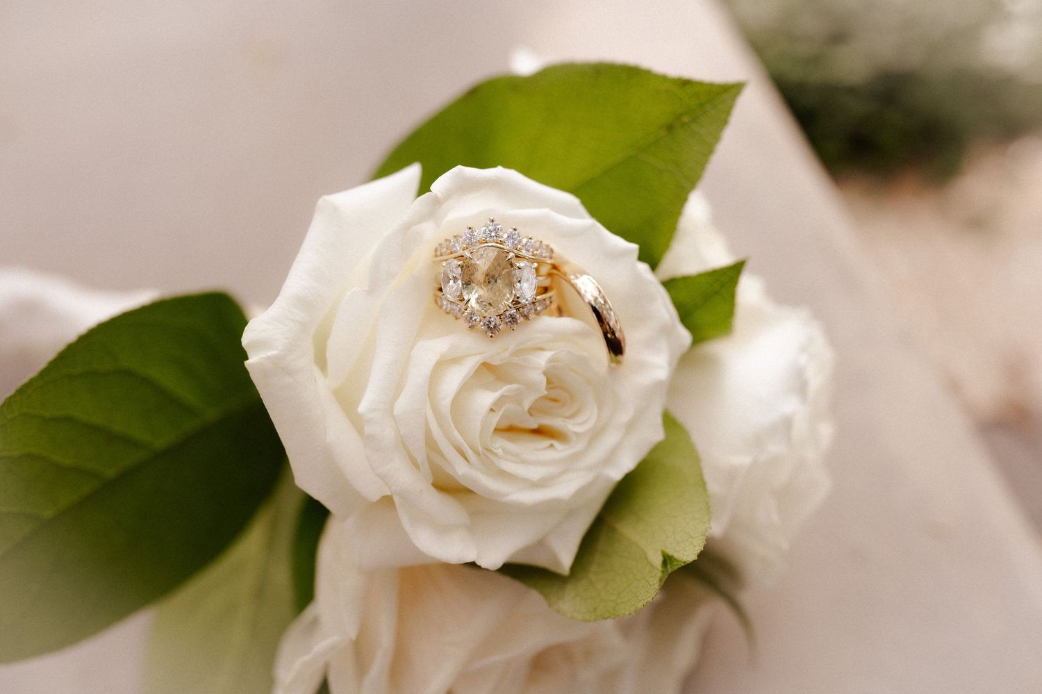 Diamond engagement ring displayed on vibrant red bougainvillea flower with green leaves.