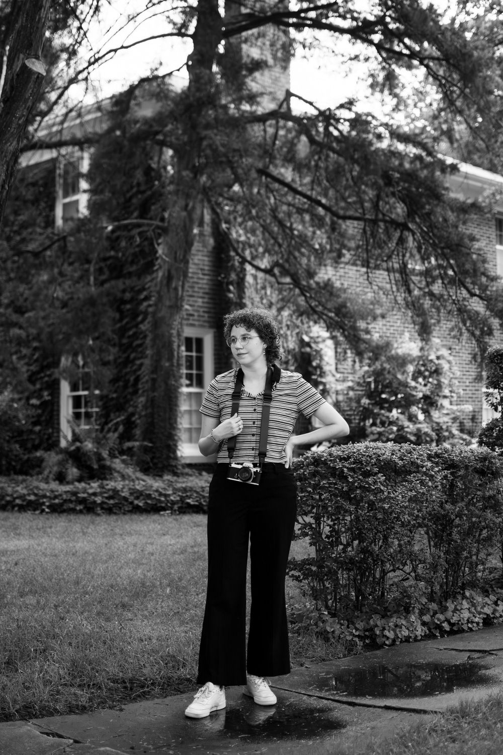 classic portrait