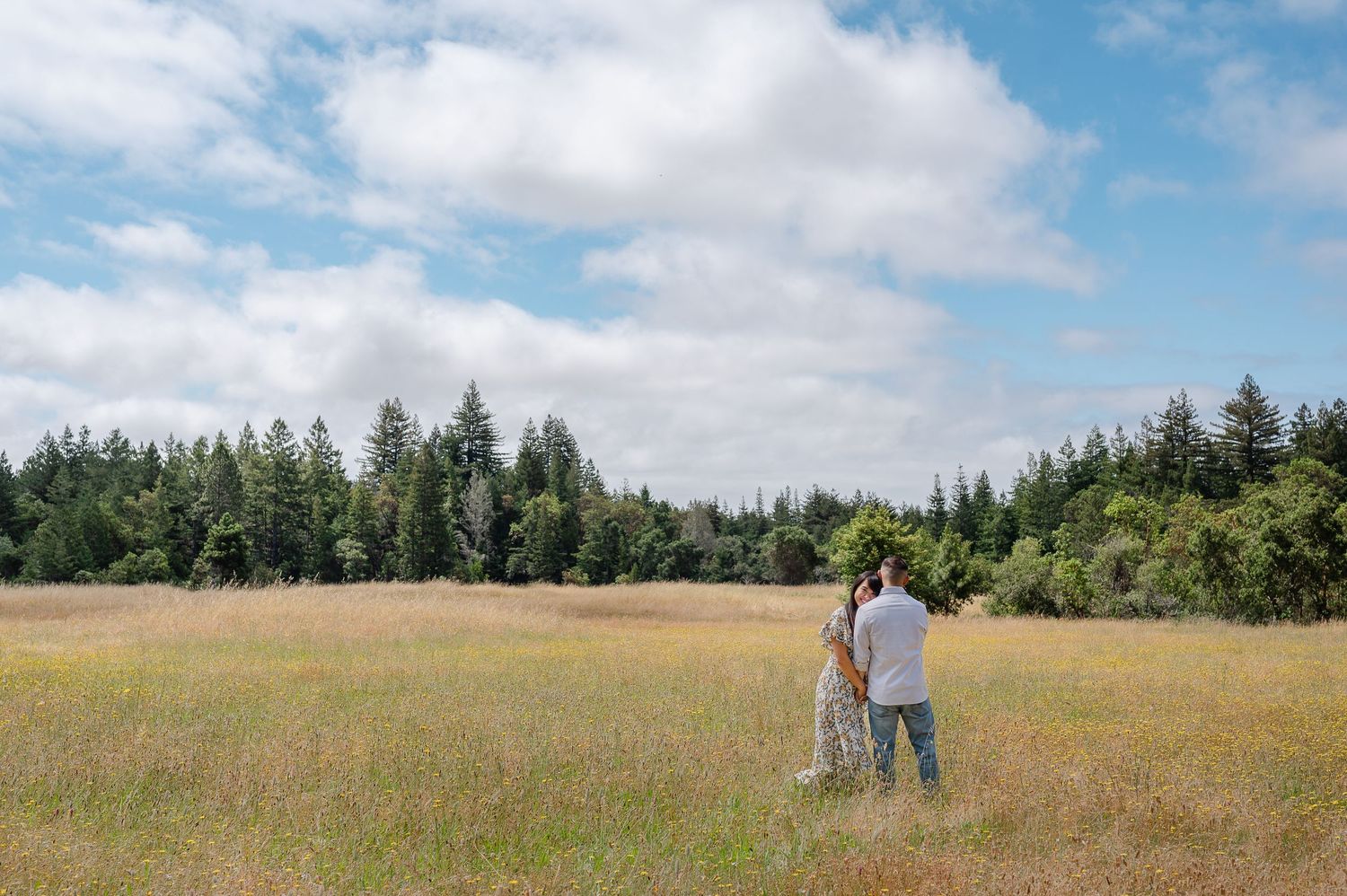 Two people stand together in a golden summer field bordered by evergreen forest.