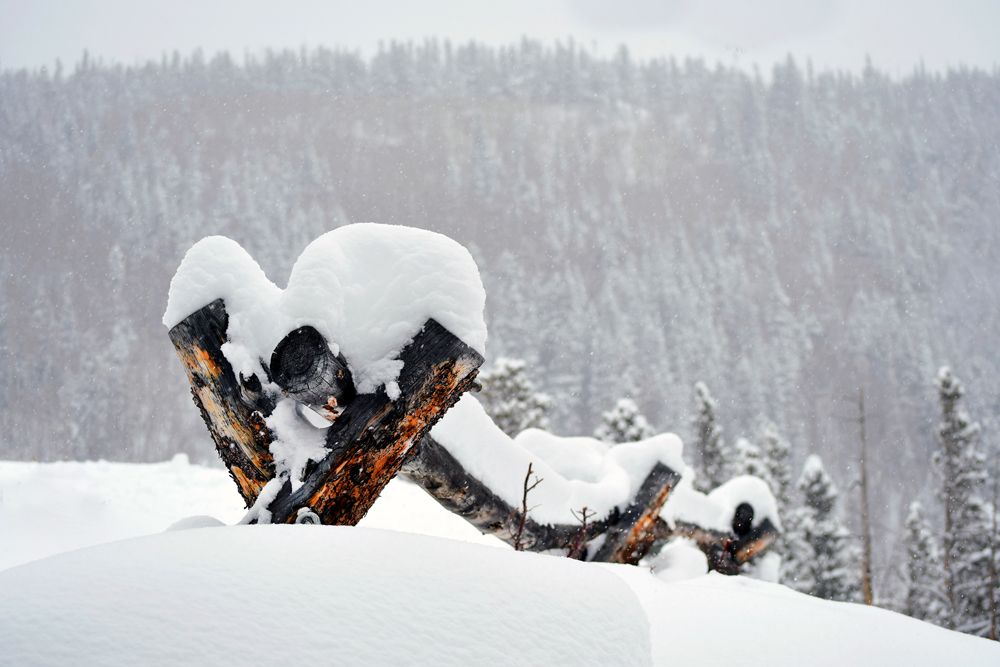 Wooden fence buried under fresh white now