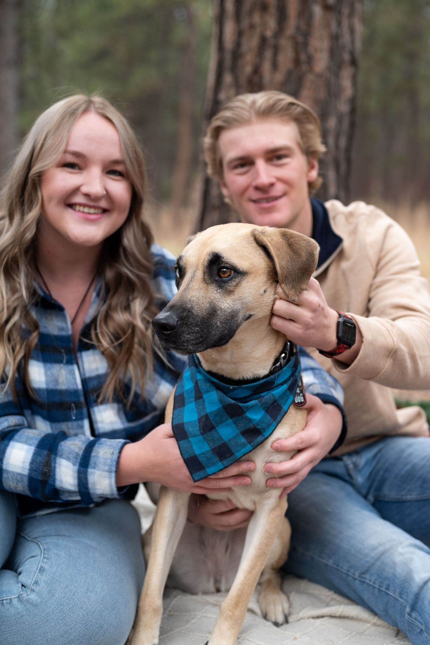 Holiday Mini Sessions in Colorado Springs