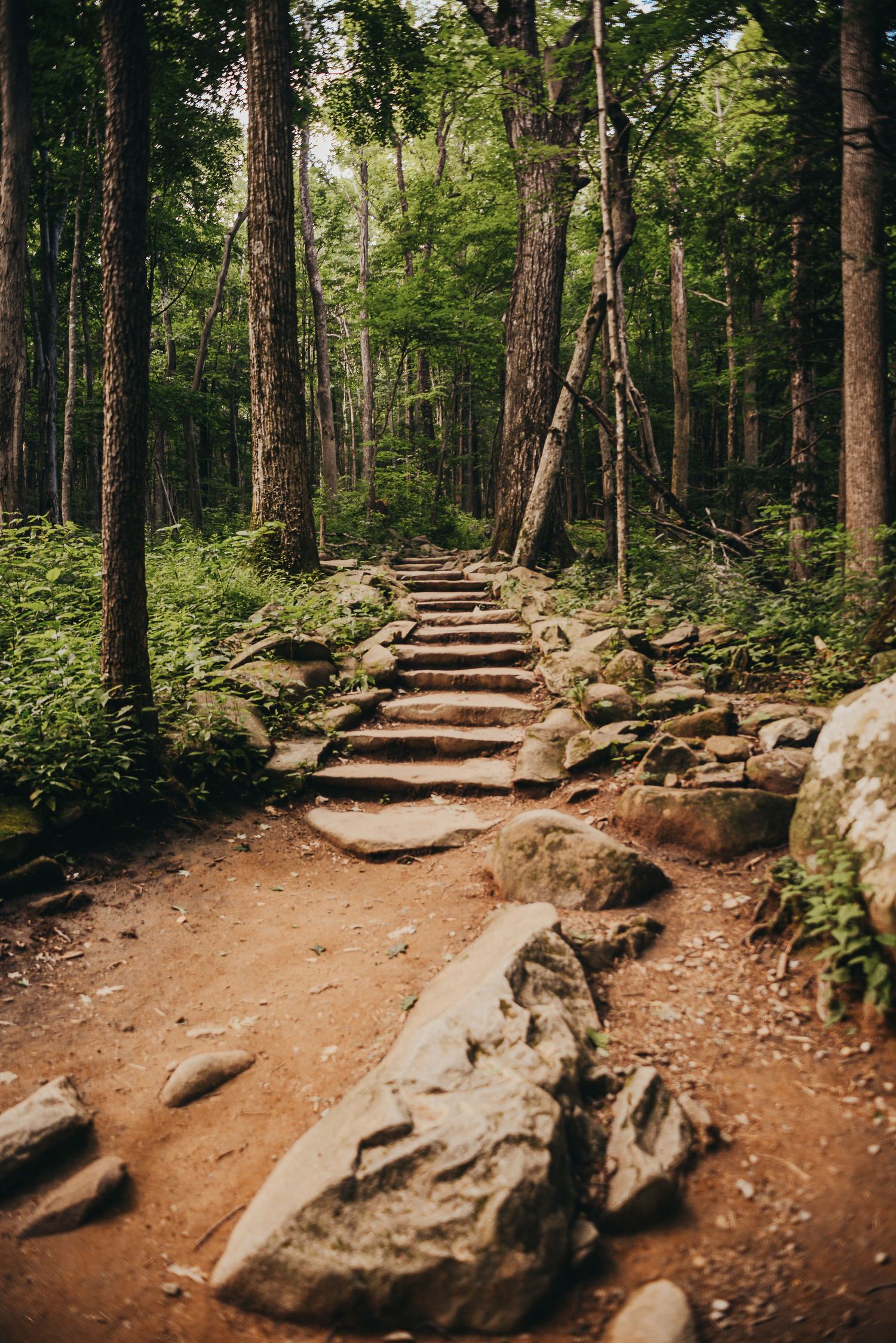 Secret Passageway, The Tennessee Collection