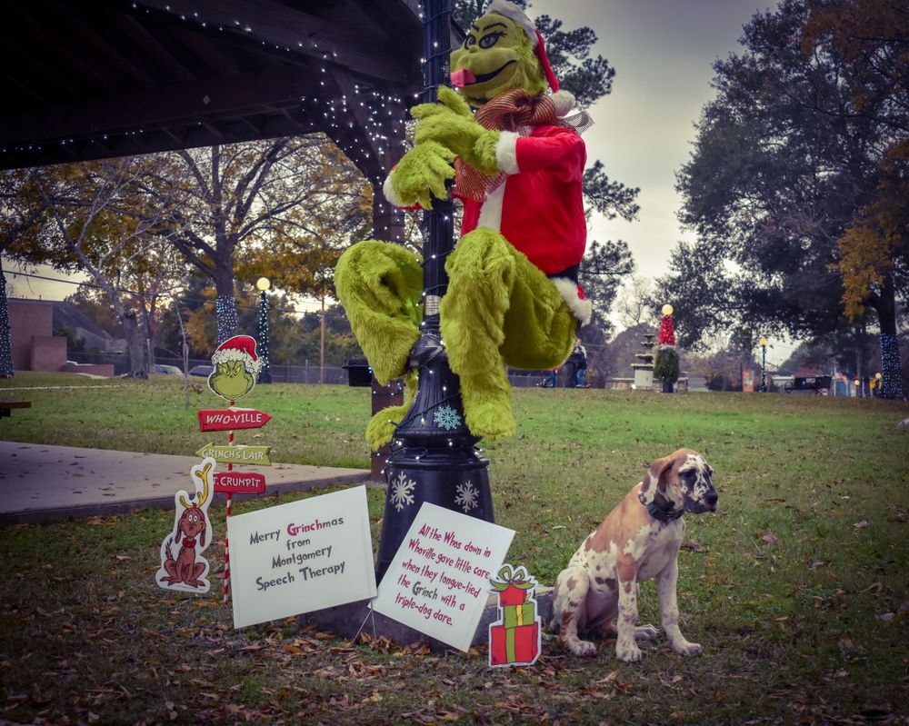 A festive scene with balloons and signs featuring a dog in an outdoor setting.