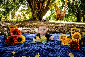 Outdoor photo with sunflowers and blue fabric under large tree branches.