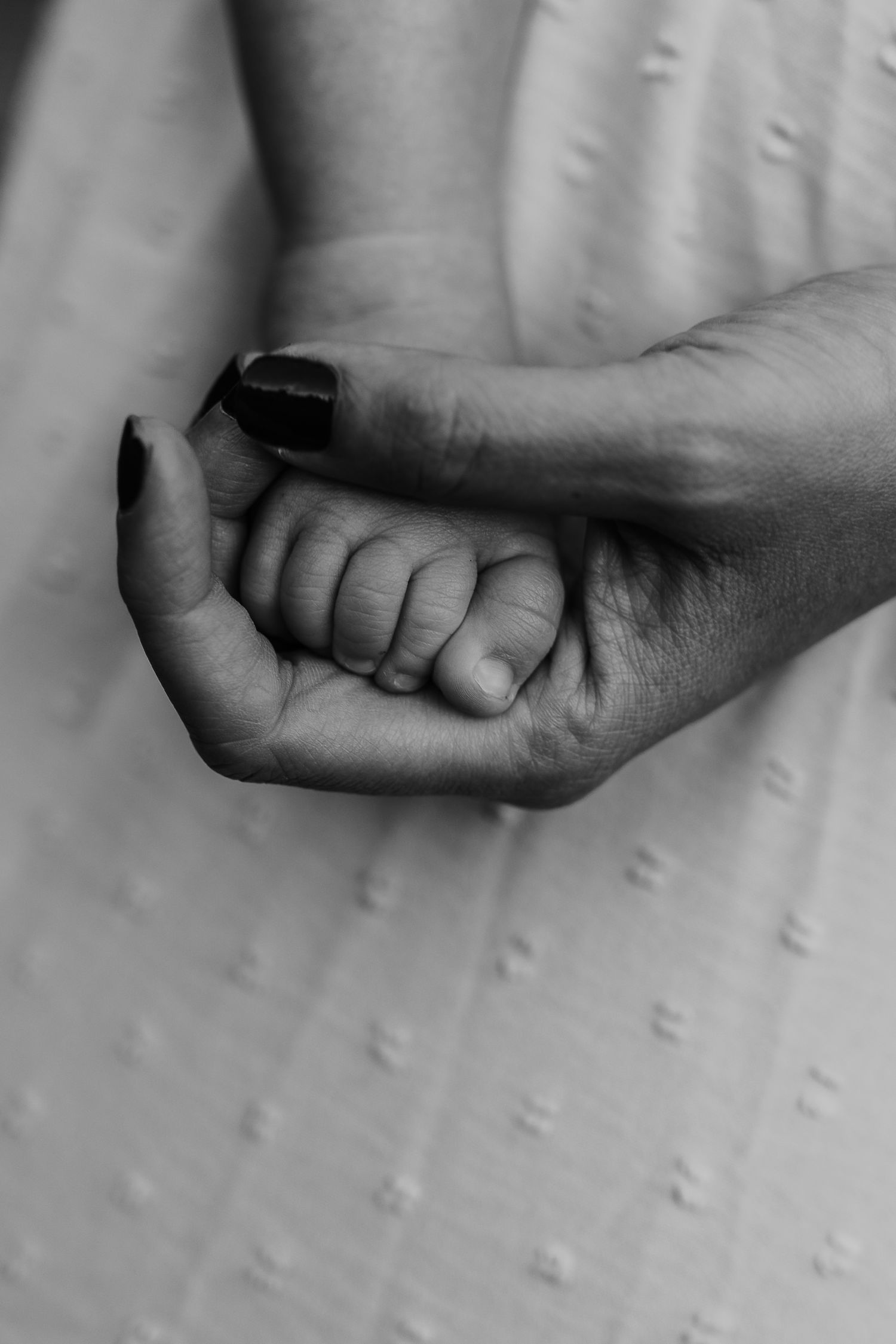 Black and white close-up of tiny baby hand holding adult finger.