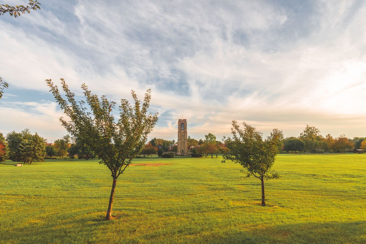 Event and Wedding Photographer in Frederick, MD