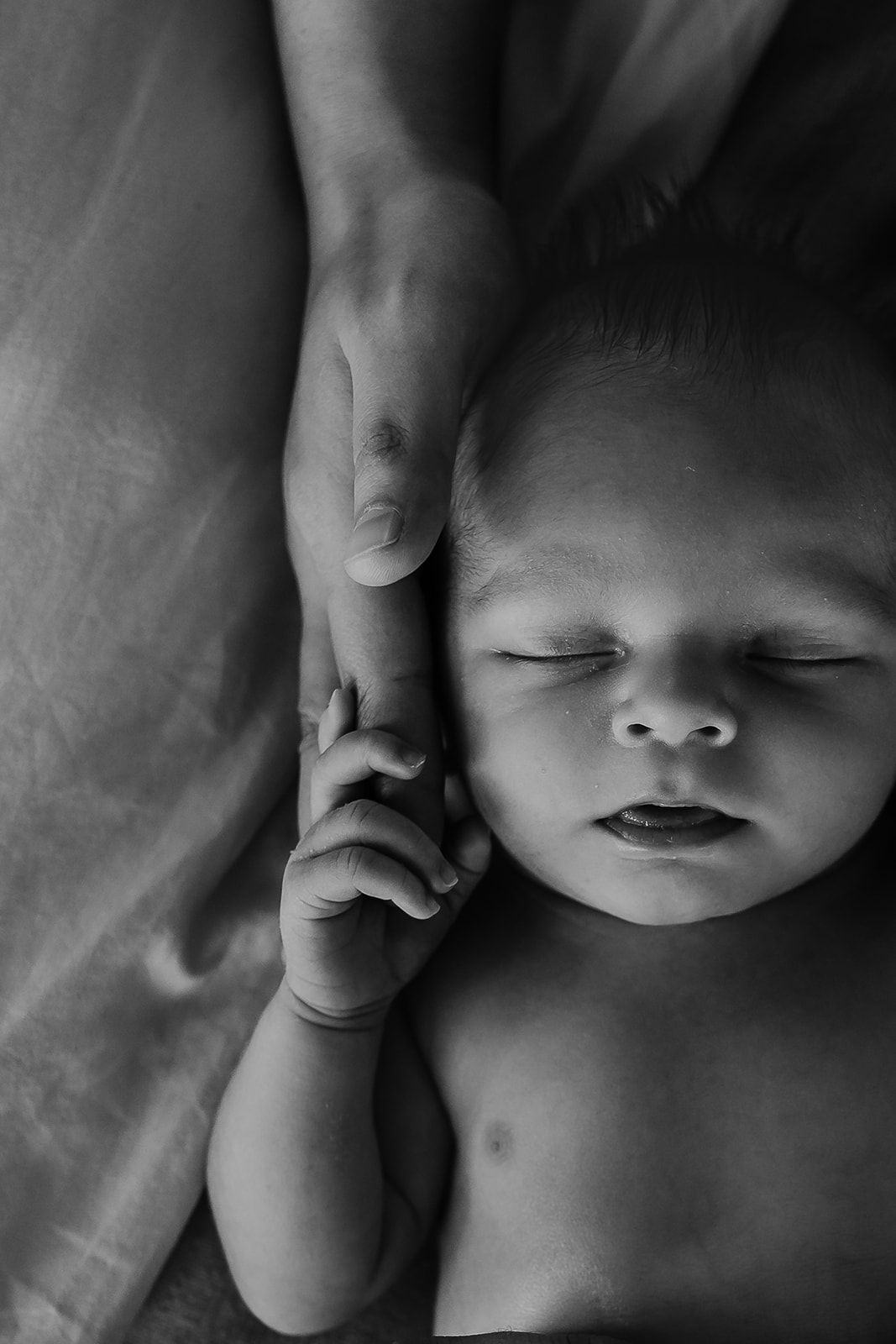 North Shore Newborn Photographer.