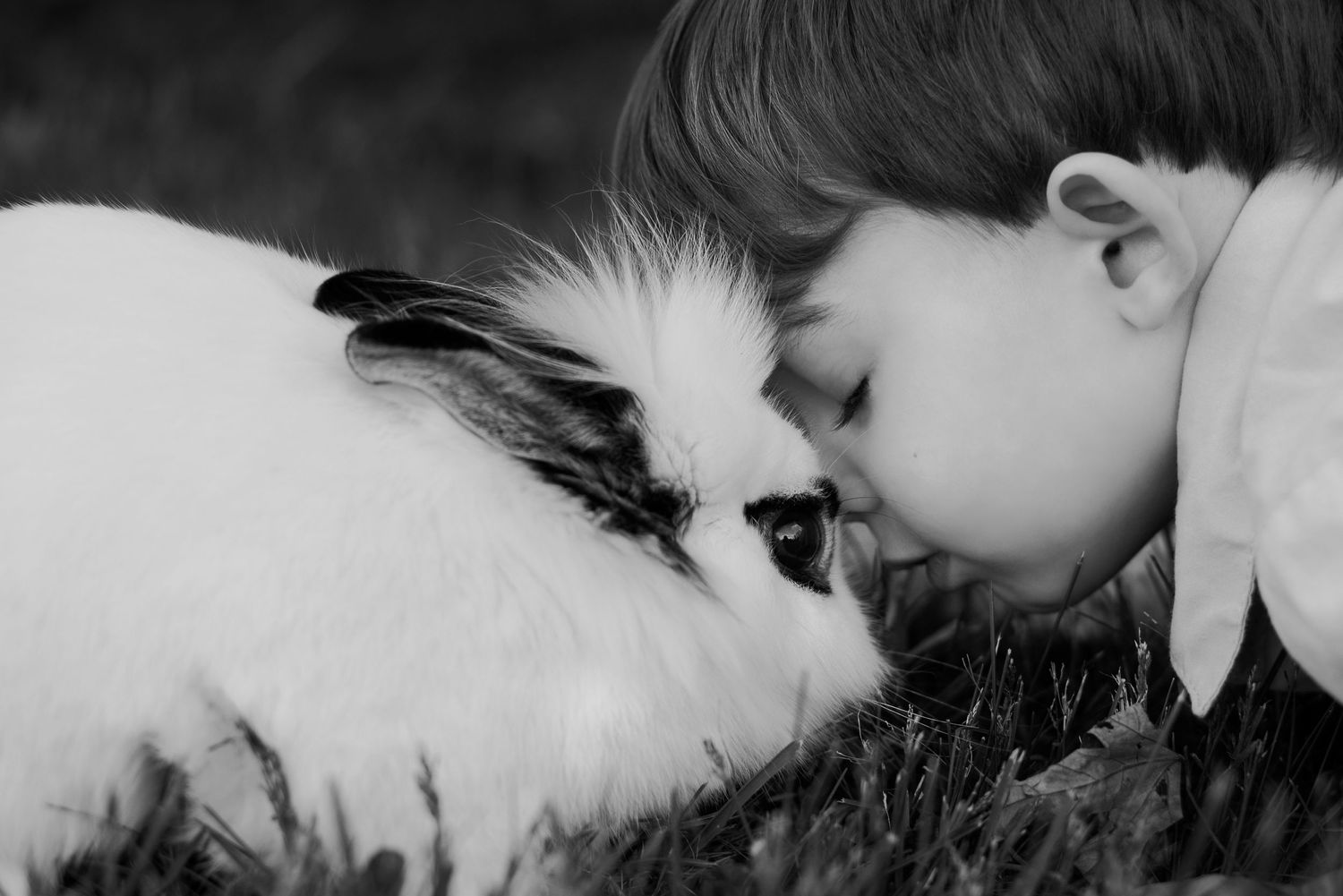 a boy and his pet bunny snuggle nose-to-nose