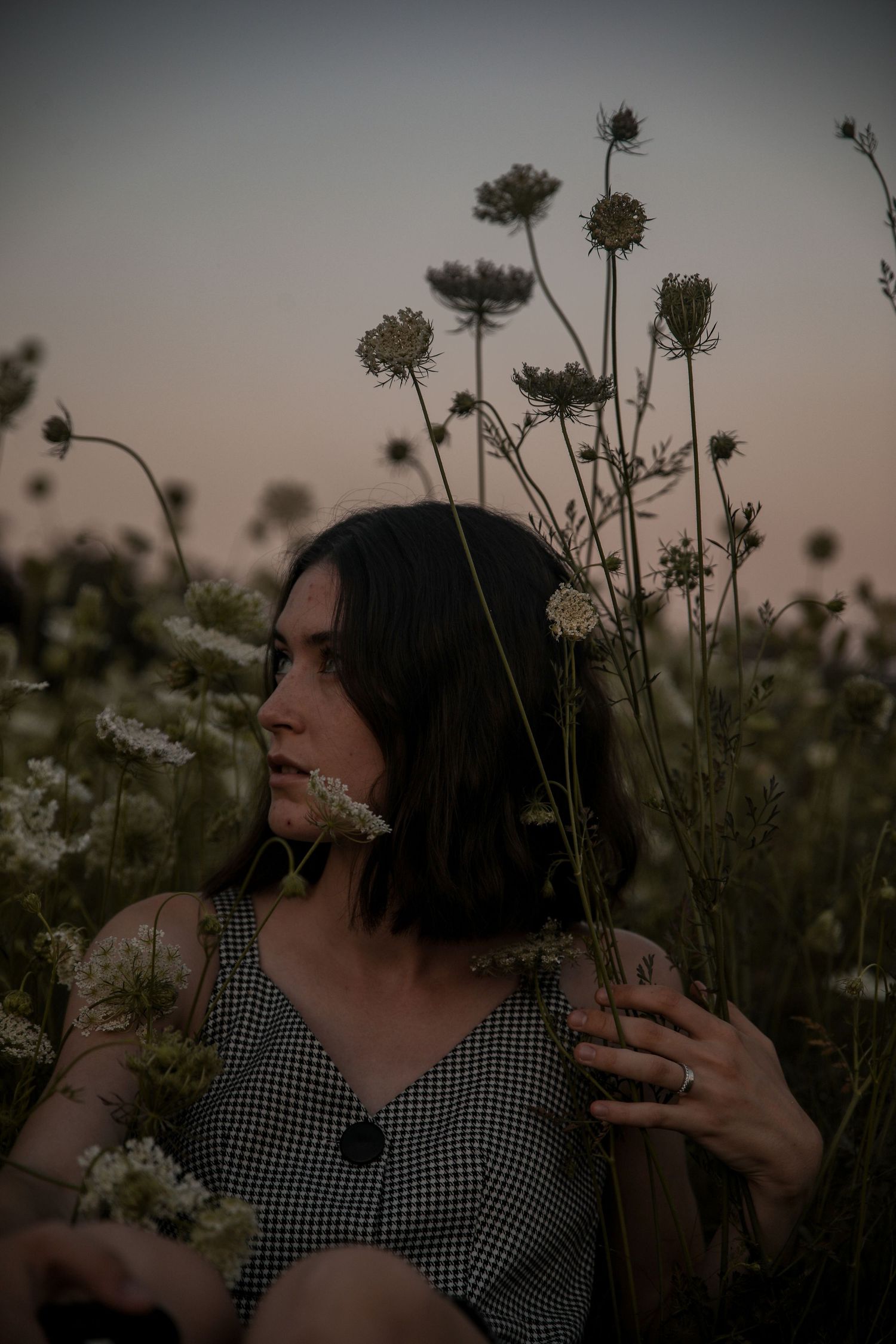 A dreamy portrait in a wildflower field at sunset showing a woman in gingham dress among Queen Anne's lace blooms.