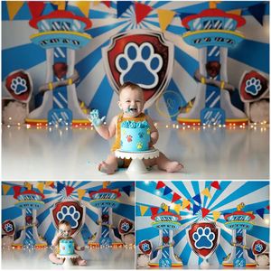 blue paw patrol fancy fabric photography backdrop background