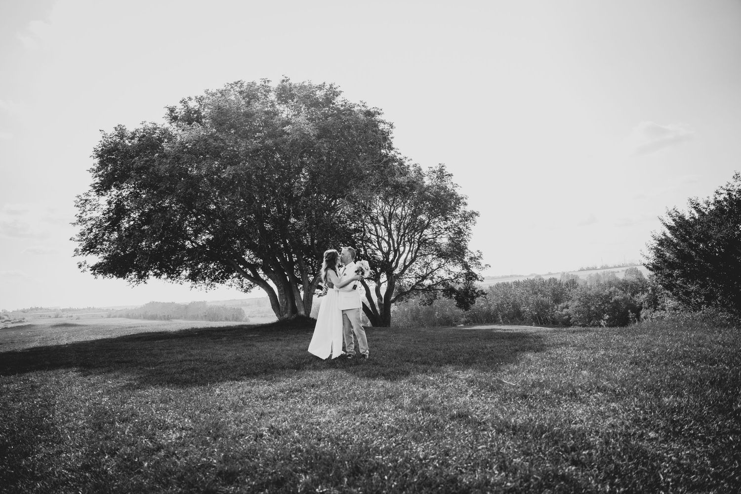 A black and white wedding portrait under a large tree on a hilltop.