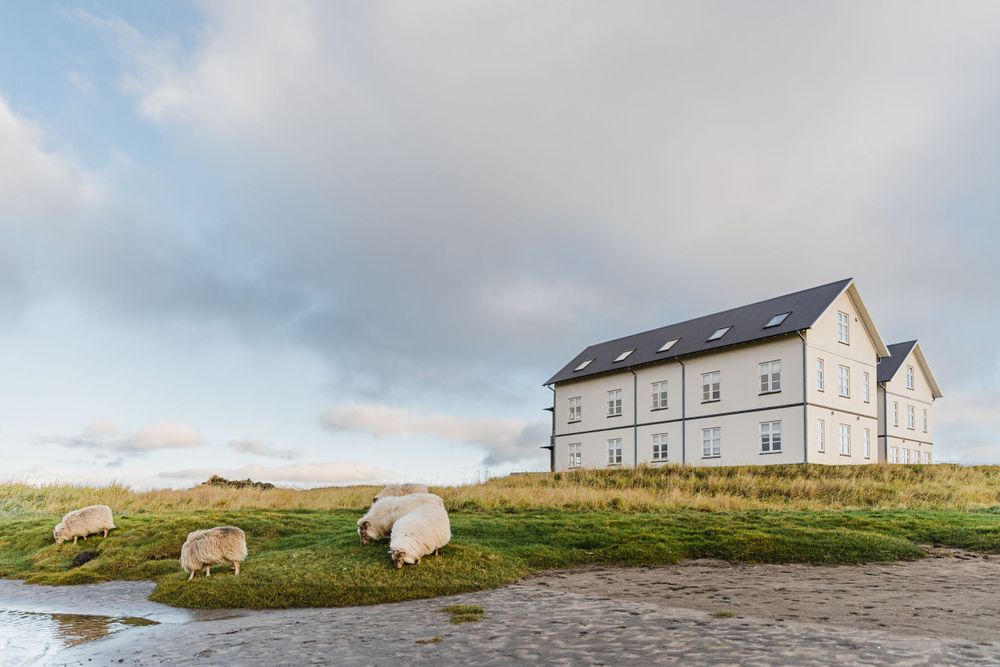 White farmhouse with solar panels sits on green hill with sheep grazing nearby.