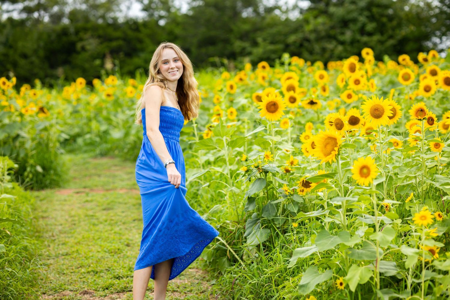 Person in flowing blue dress stands on path beside tall sunflowers in garden.