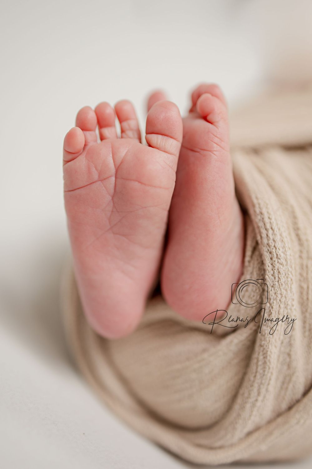 Close-up of tiny newborn baby feet wrapped in a soft beige knit blanket on a white background.