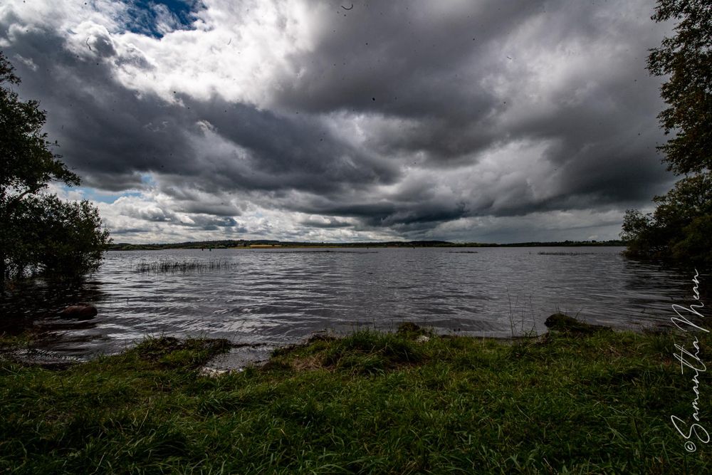 Derrycassin Wood Longford