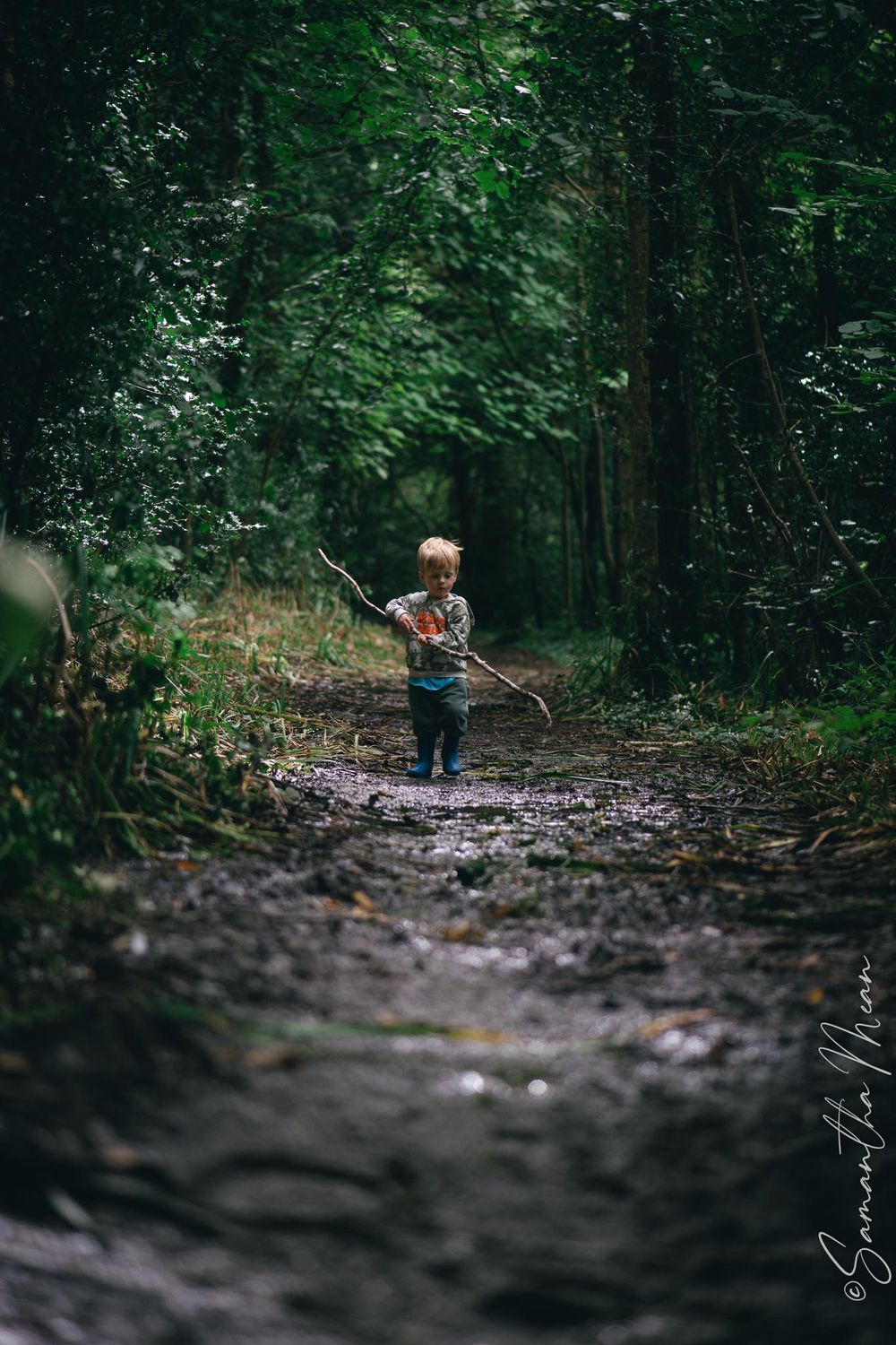 Derrycassin Wood Longford