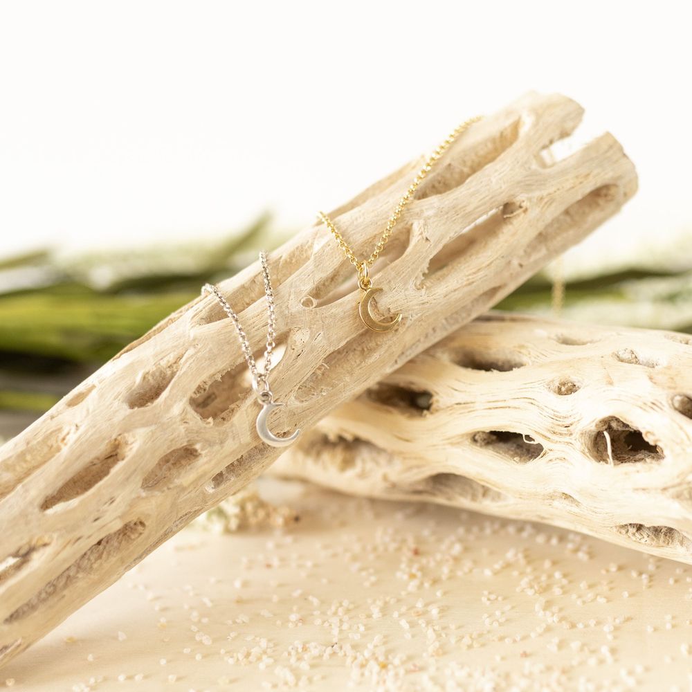 Close-up detail of natural cholla cactus wood skeleton texture with holes.