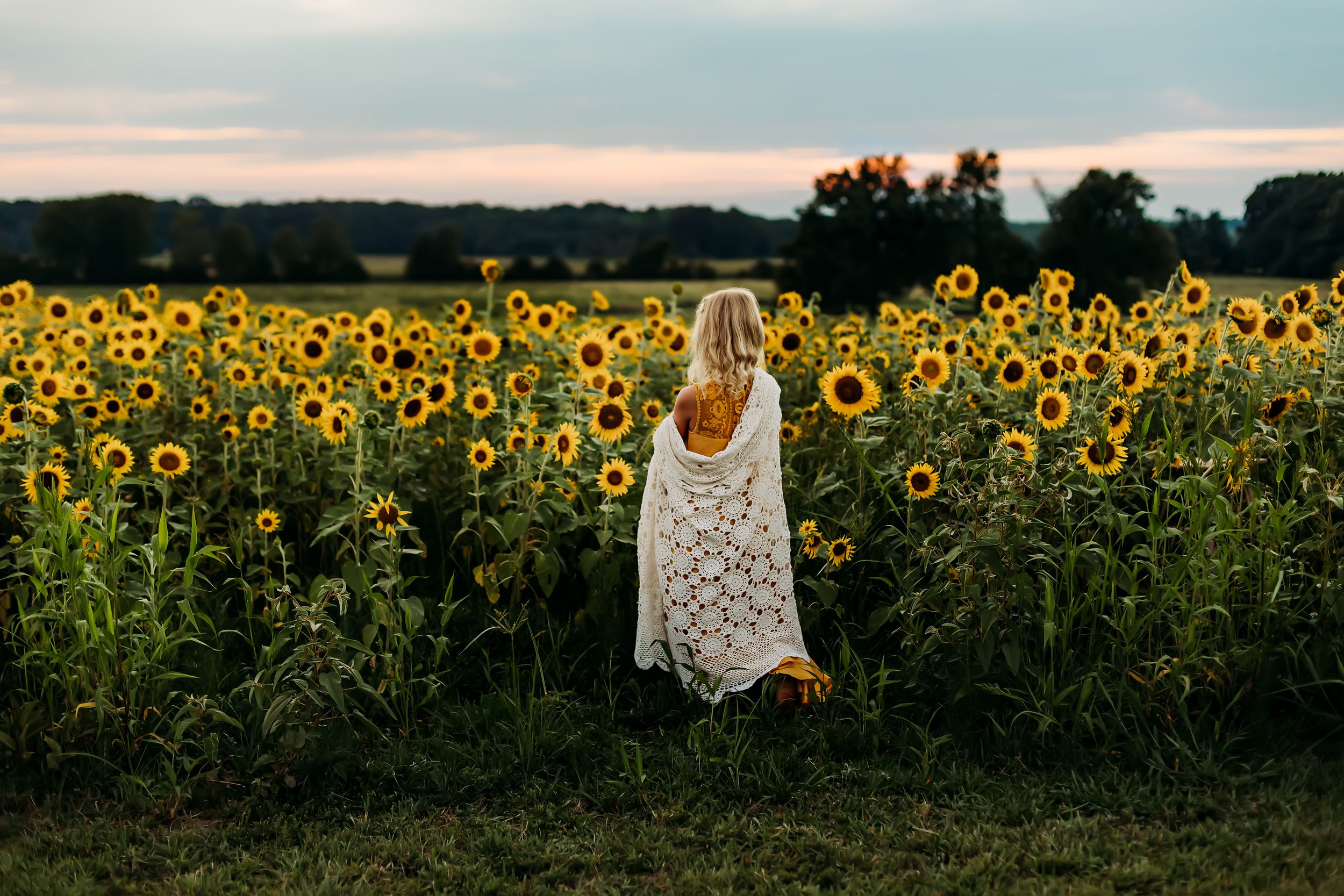 A figure in a white lace dress stands amidst a golden sunflower field at sunset.