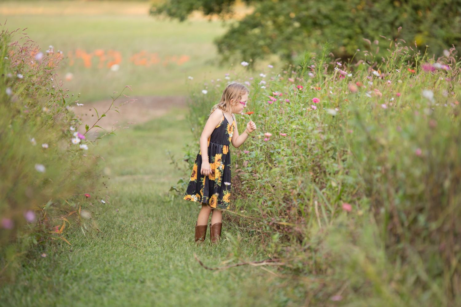 8 year old child in wild flower zinnia field at Ward's Farm in Salem New Jersey, wearing sunflower print dress