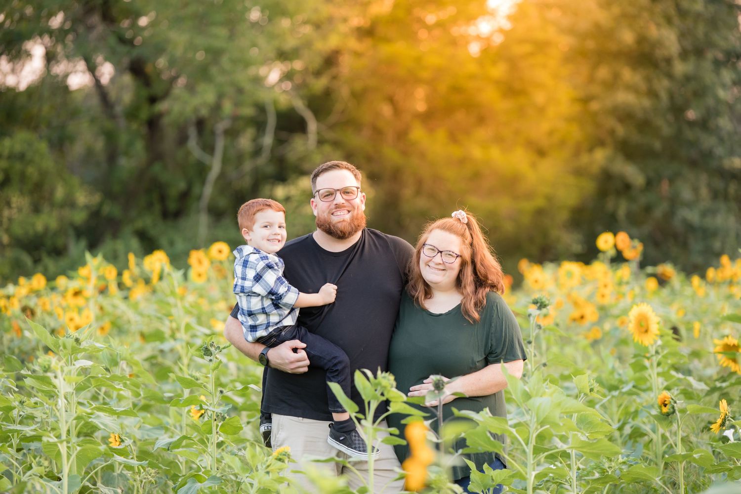 family of three with pregnant mother in sunflower field at Ward's Farm in Salem New Jersey at sunset