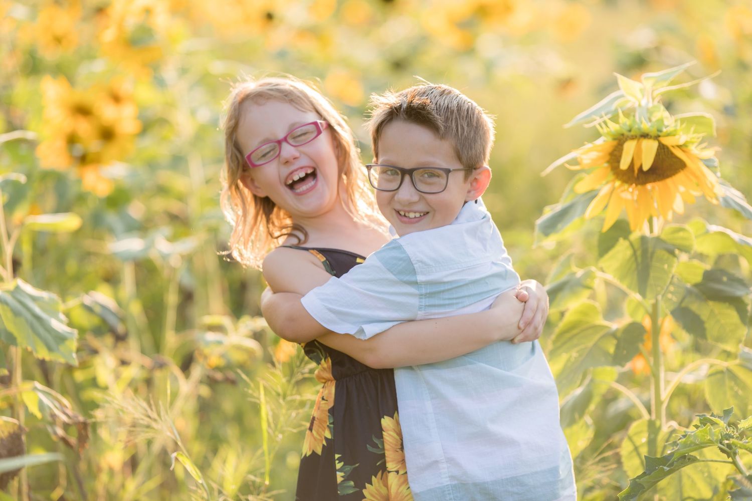 two children hugging while laughing in sunflower field at ward's farm in salem new jersey during golden hour