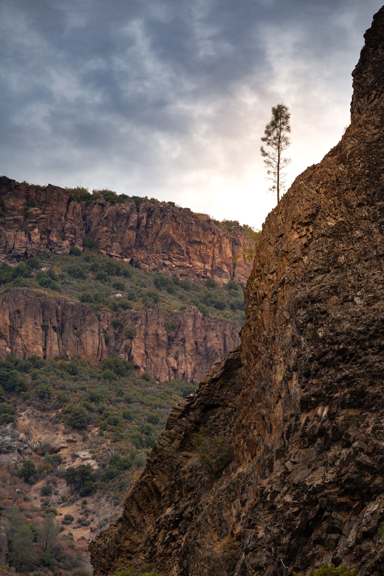 A lone pine tree stands atop rugged red cliffs under dramatic storm clouds at sunset.