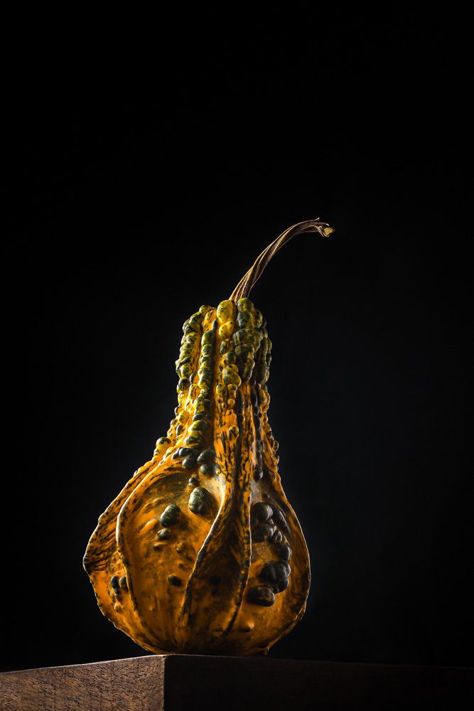 Autumn Squash - Photo by © Reka Csulak Three Pod Studio