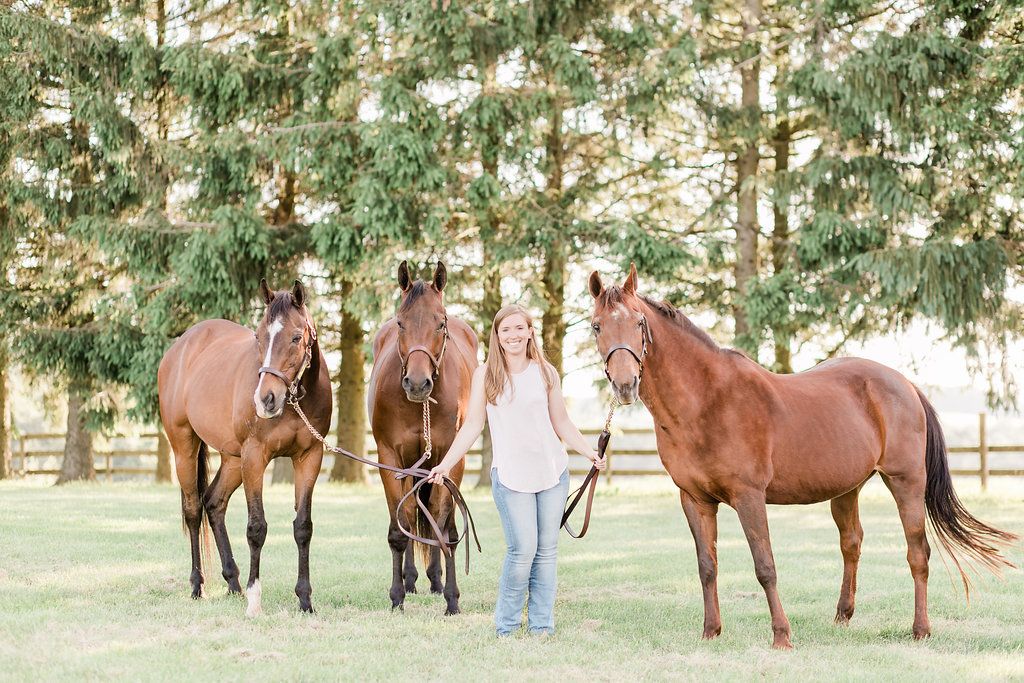 Three brown horses stand with handler in wooded setting.