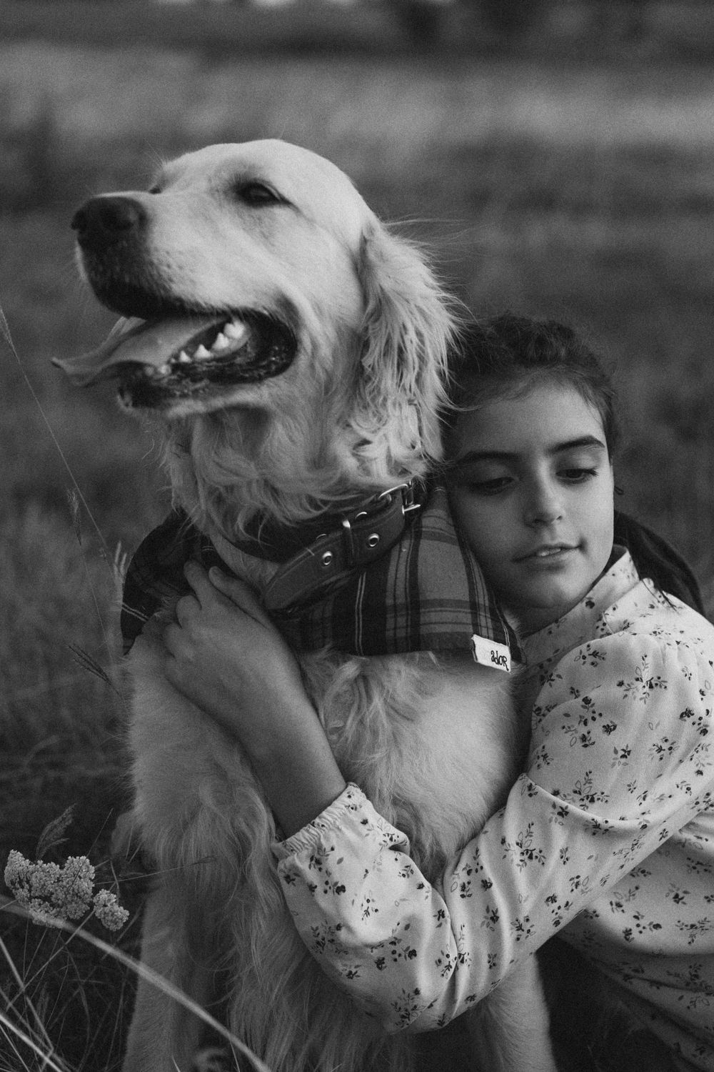 фотосесия с куче, семейни истории, семейна, семейство, златен час, детски снимки, деца, Варна, Русе, Пловдив, София