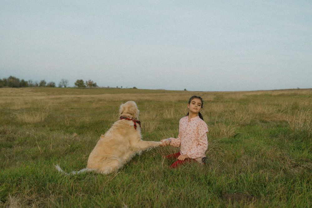 фотосесия с куче, семейни истории, семейна, семейство, златен час, детски снимки, деца, Варна, Русе, Пловдив