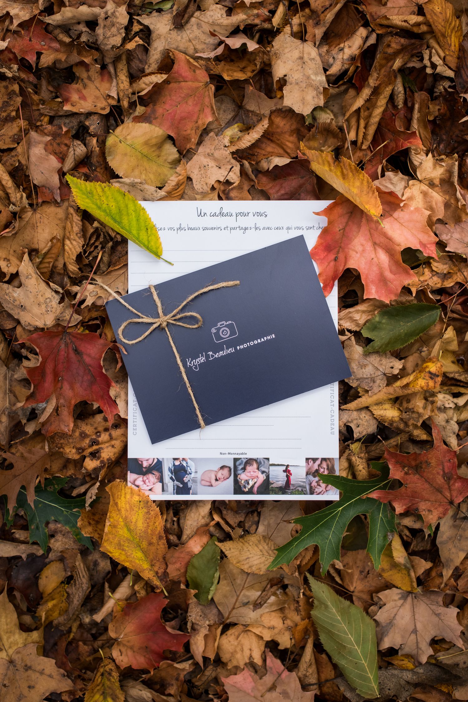 krystel_beaulieu_photographie_certificat_cadeau_gift_certificate-62