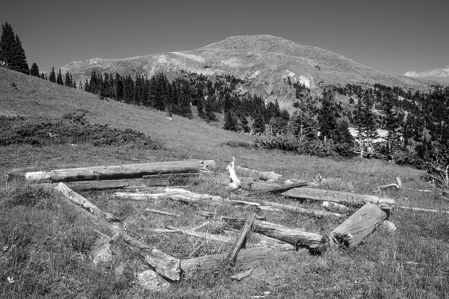 Cree's Camp, Colorado