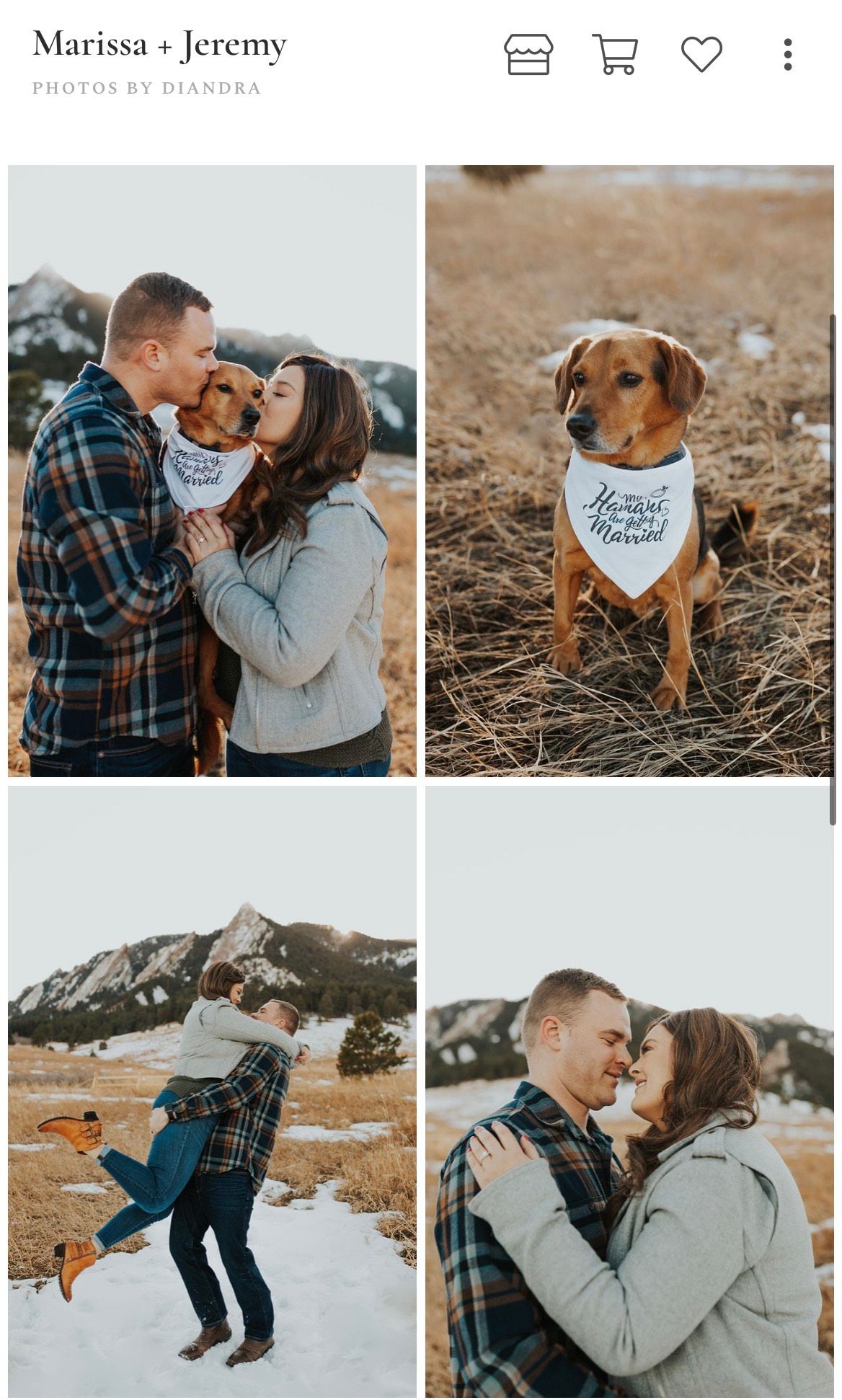 Couple photo shoot in Boulder, Colorado with dog.